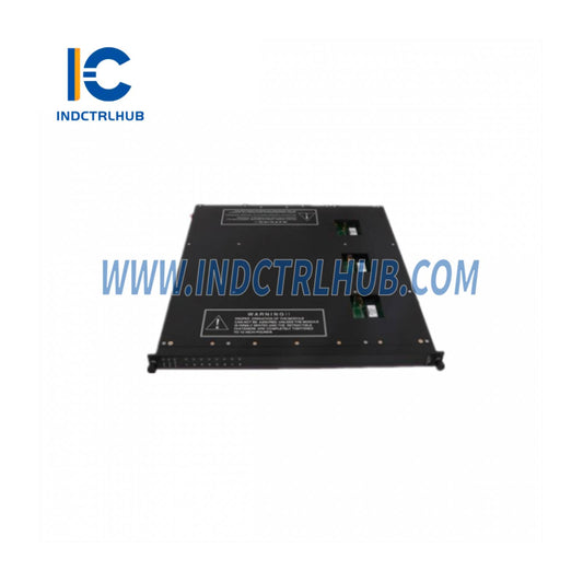 Triconex 1400010-001 Lityum Batareya