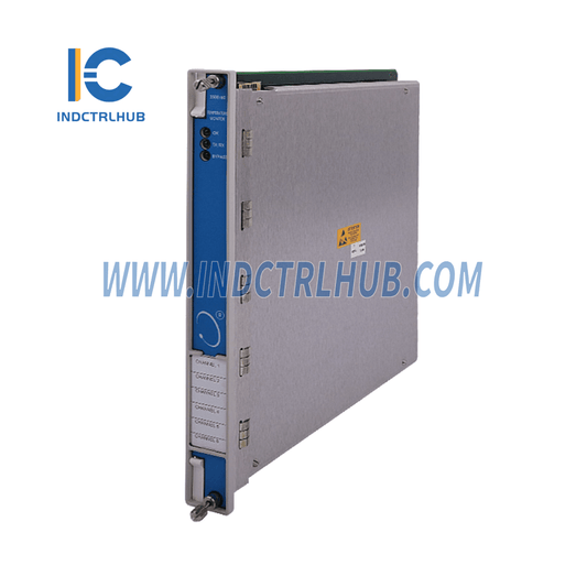 BENTLY NEVADA 3500/60 190085-01L Temperatūras monitors