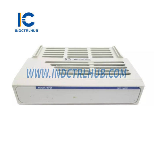 Emerson Ovation 1C31116G04 Analoog Invoer Persoonlikheidsmodule