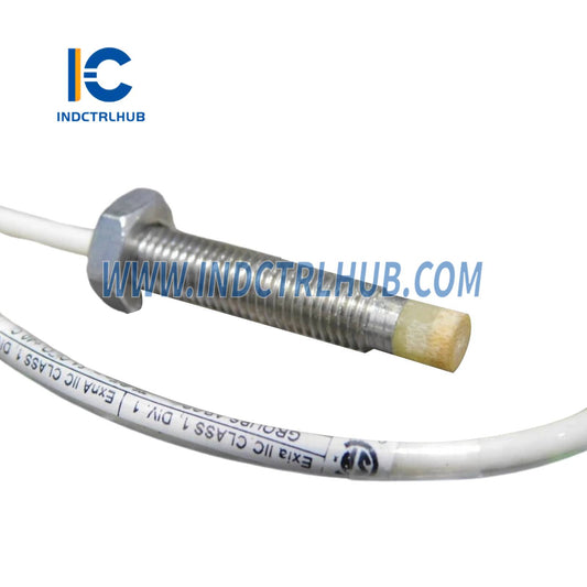 Bently Nevada 21500-00-12-05-02