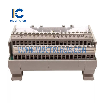 ALLEN BRADLEY 1492-IFM20F-F24-2 Digital Module with Fixed Terminal Block