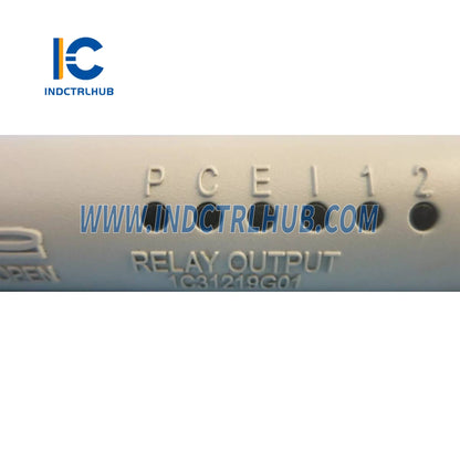 Emerson ‎‎Ovation 1C31219G01 Modul Basis Output Relay