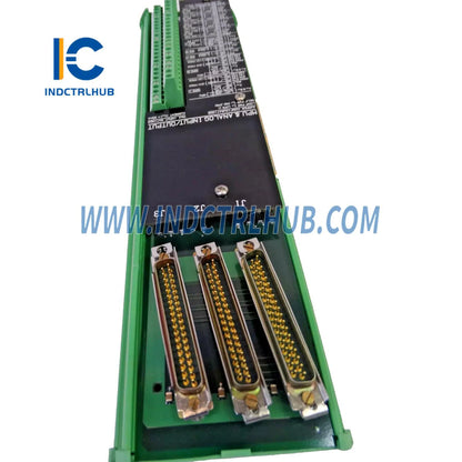 Woodward 5501-365 MicroNet Plus Analog Kombine Modül