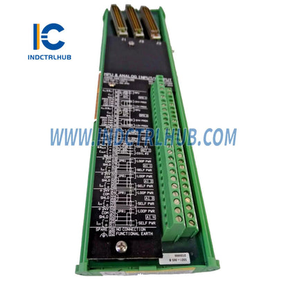 Woodward 5501-365 MicroNet Plus Analog Kombine Modül