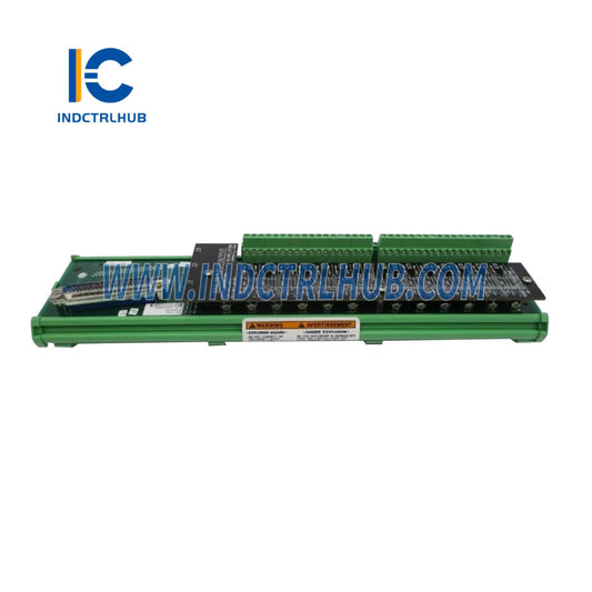 Woodward 5501-376 MicroNet Basitks Analog Kombinasyon Modülü