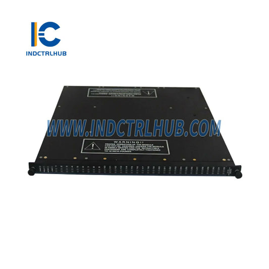 Cabo Fanned-Out Triconex 9101-010F