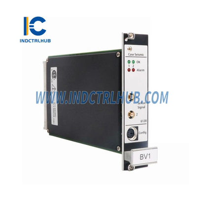 A6120 Emerson Machinery Денсаулық Мониторы