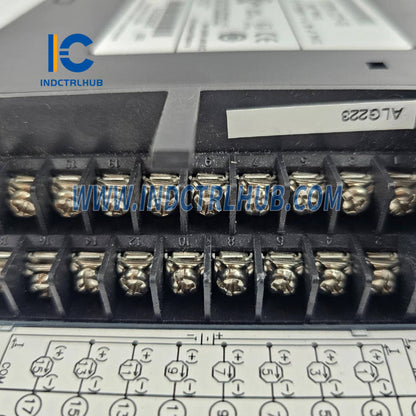 GE IC693ALG223 Analog Input Module